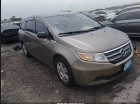 2011 Honda Odyssey auction photo
